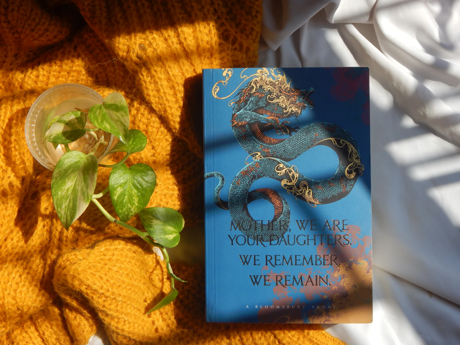 book cover of Remarkably Bright Creatures