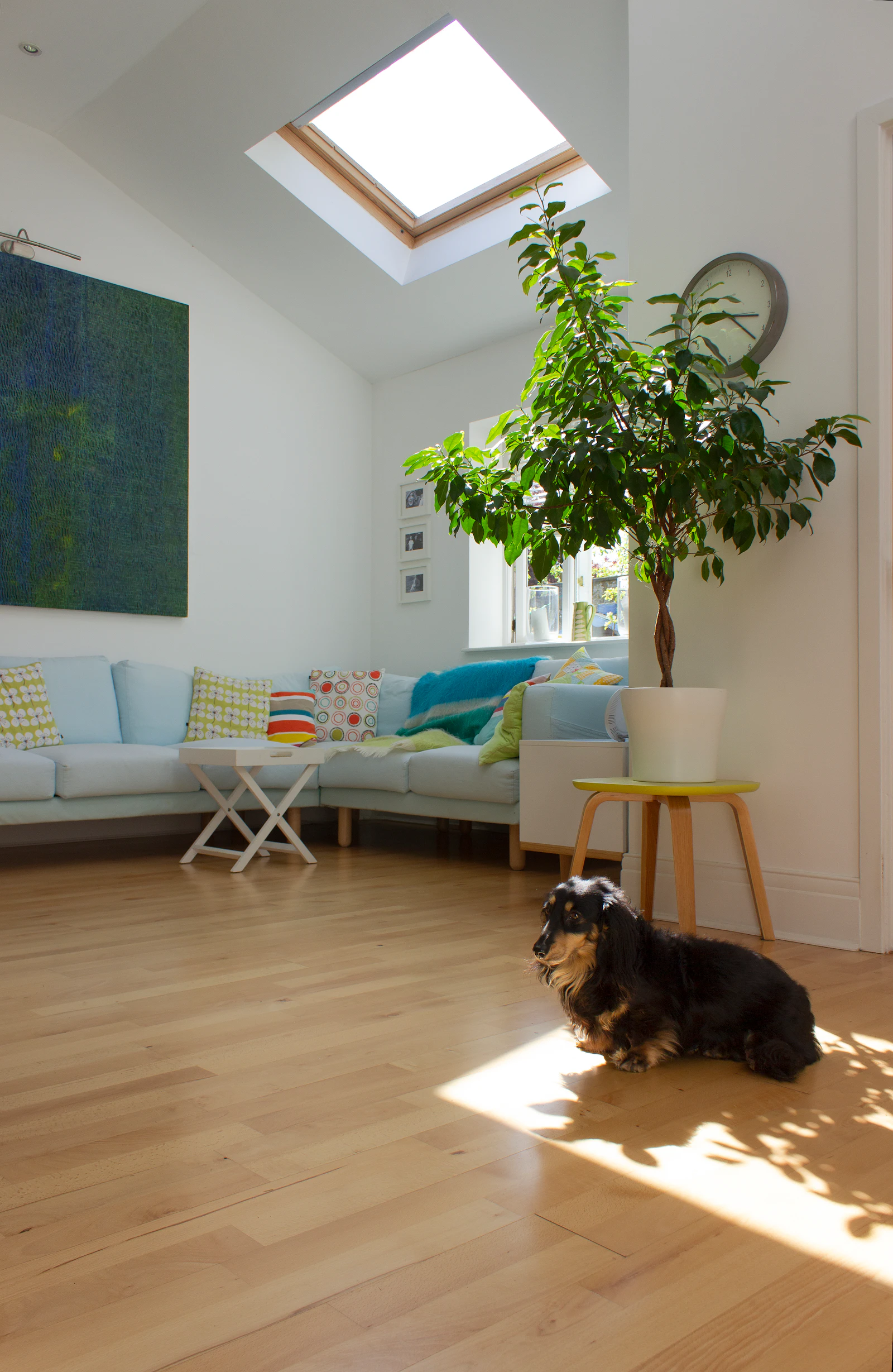 Laminate flooring in a contemporary living room with natural light